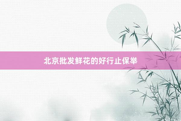 北京批发鲜花的好行止保举